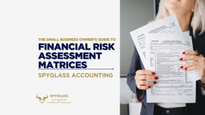 The Small Business Owner’s Guide to Financial Risk Assessment Matrices