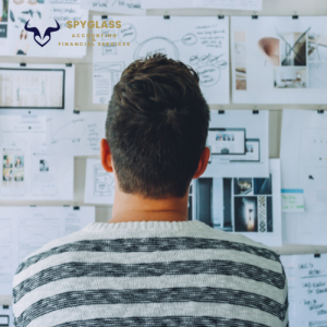 Entrepreneur Income