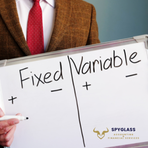 fixed and variable costs
